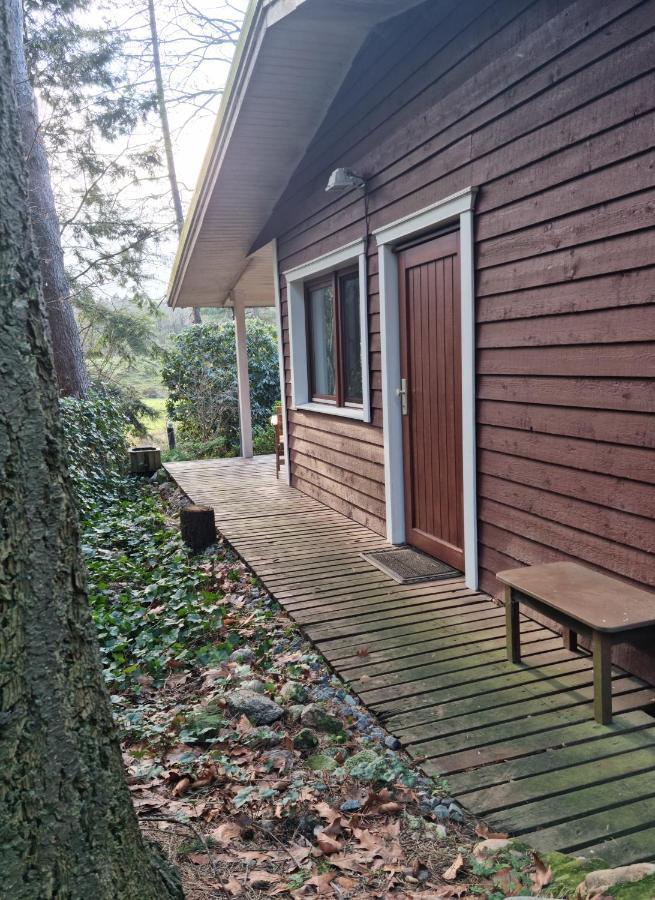 Waldhaus Doetlingen Ferienhaus Im Naturpark Εξωτερικό φωτογραφία